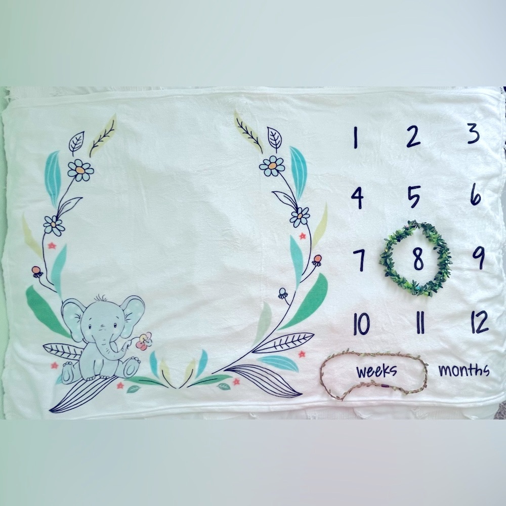Baby Milestone Blanket